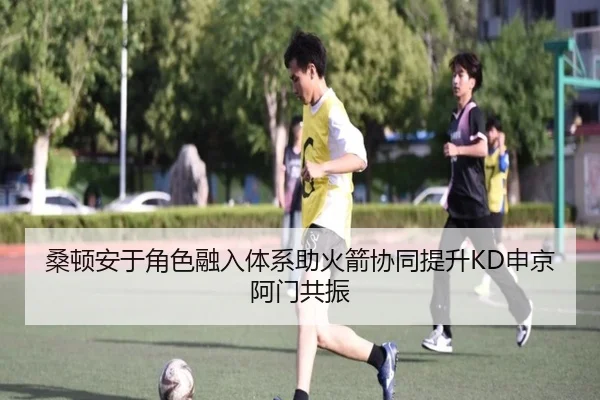 桑顿安于角色融入体系助火箭协同提升KD申京阿门共振